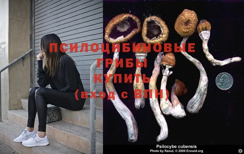 Псилоцибиновые грибы MAGIC MUSHROOMS  Дальнегорск 