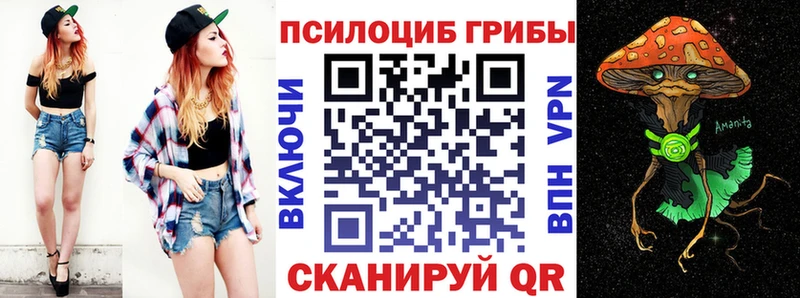 где продают   Дальнегорск  Псилоцибиновые грибы ЛСД 