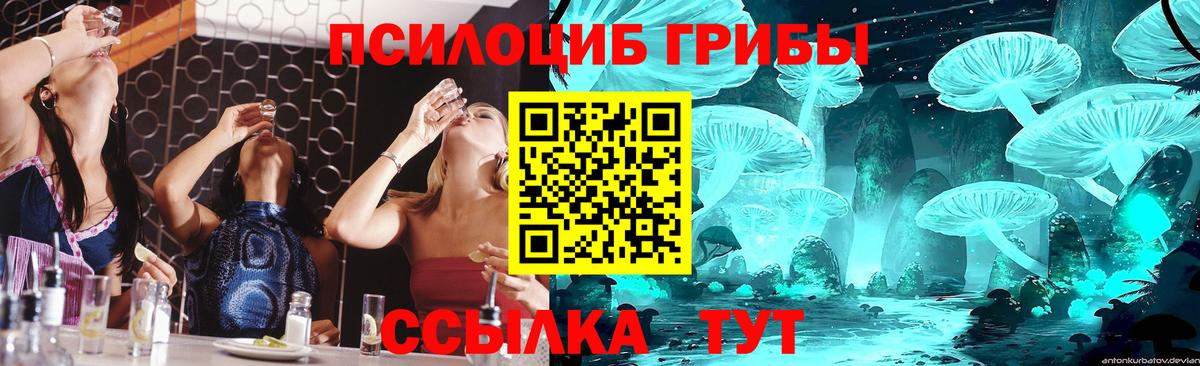Галлюциногенные грибы GOLDEN TEACHER  Вход с VPN  как найти   Дальнегорск 