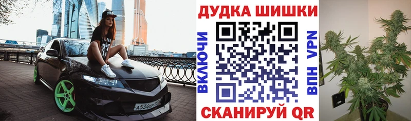 Шишки марихуана марихуана  ссылка на мегу ССЫЛКА  Дальнегорск 